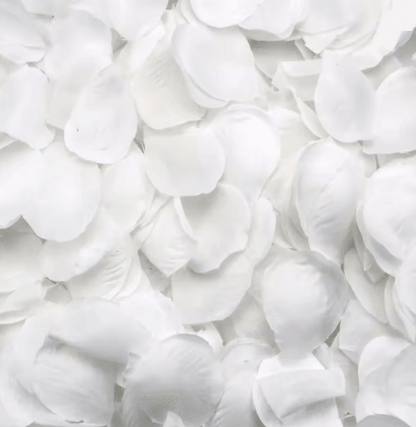 1000 Piece White Artificial Rose Petals for Romantic Wedding and Party Decor