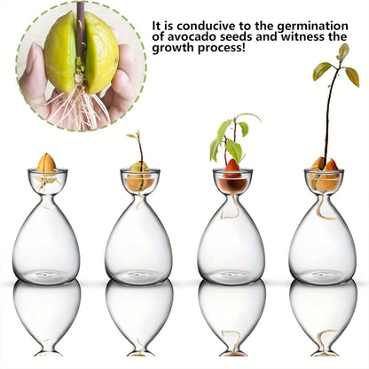 Transparent Glass Avocado Seed Starter Vase, Plant Growing Kit for Gardening Enthusiasts
