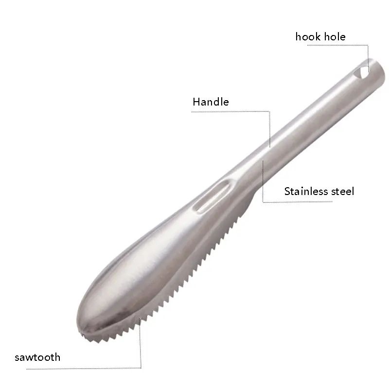 Stainless Steel Fish Scale Remover Tool