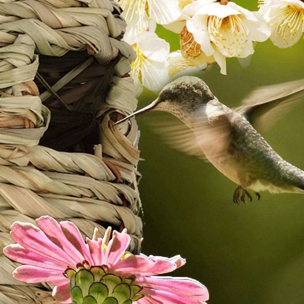 Hand-Weaved Decorative Bird House & Nest Shelter
