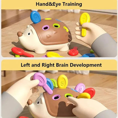 Montessori Sensory Hedgehog Toddler Peg Toy for Fine Motor Skills