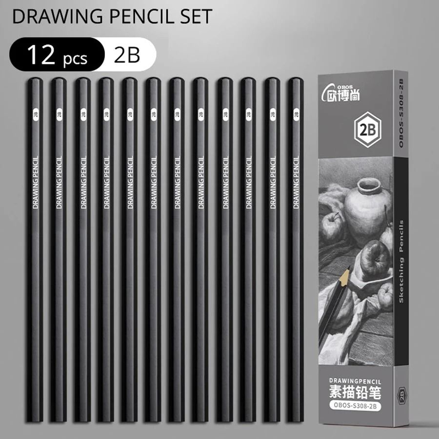 Professional Multi-Grade Graphite & Charcoal Sketching Pencil Set