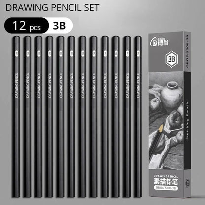 Professional Multi-Grade Graphite & Charcoal Sketching Pencil Set