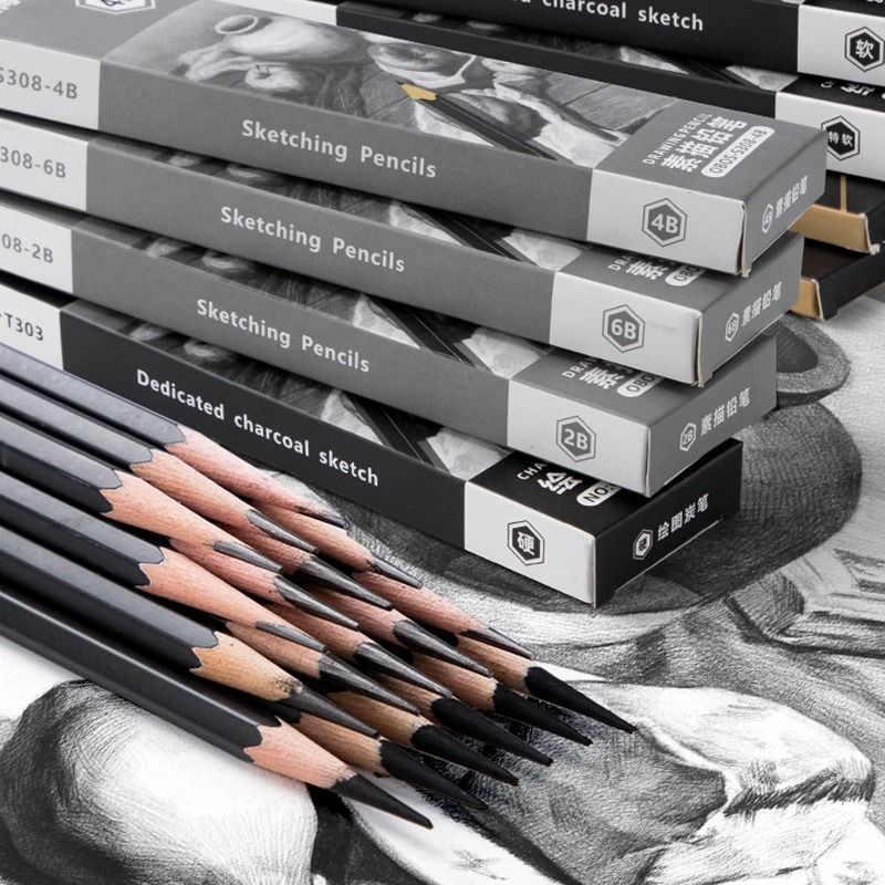 Professional Multi-Grade Graphite & Charcoal Sketching Pencil Set
