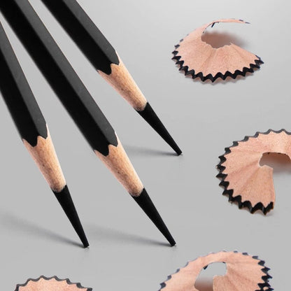 Professional Multi-Grade Graphite & Charcoal Sketching Pencil Set