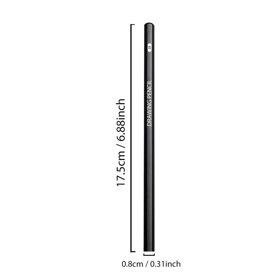 Professional Multi-Grade Graphite & Charcoal Sketching Pencil Set