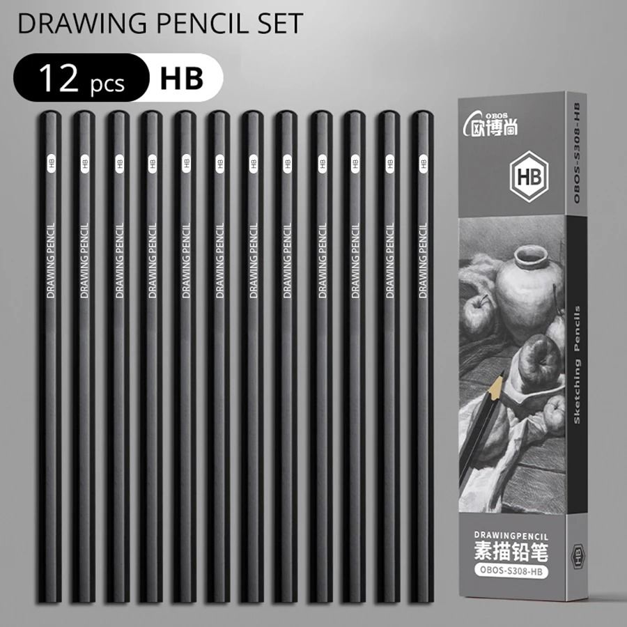 Professional Multi-Grade Graphite & Charcoal Sketching Pencil Set