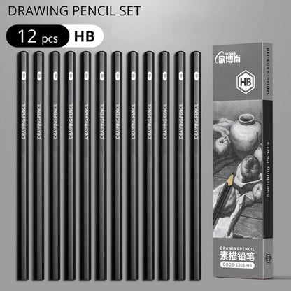 Professional Multi-Grade Graphite & Charcoal Sketching Pencil Set