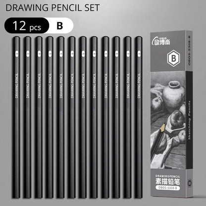 Professional Multi-Grade Graphite & Charcoal Sketching Pencil Set