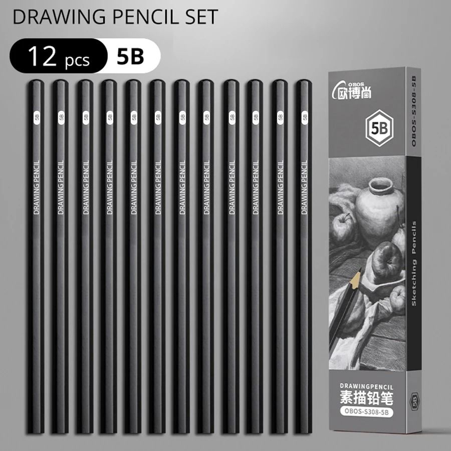 Professional Multi-Grade Graphite & Charcoal Sketching Pencil Set