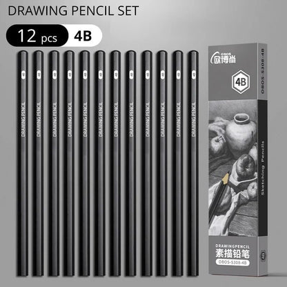 Professional Multi-Grade Graphite & Charcoal Sketching Pencil Set