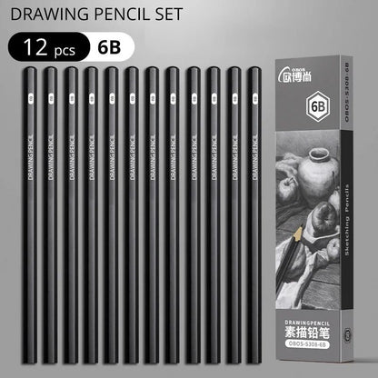 Professional Multi-Grade Graphite & Charcoal Sketching Pencil Set