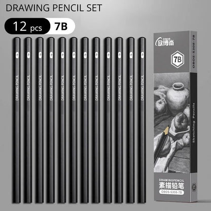 Professional Multi-Grade Graphite & Charcoal Sketching Pencil Set