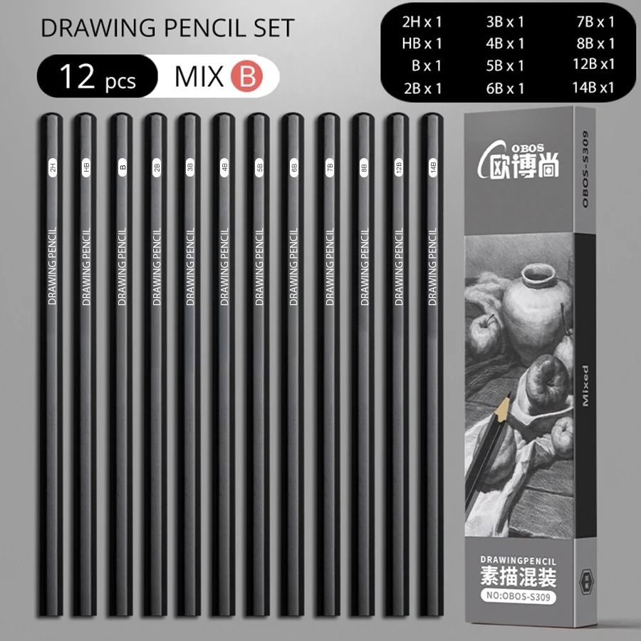 Professional Multi-Grade Graphite & Charcoal Sketching Pencil Set