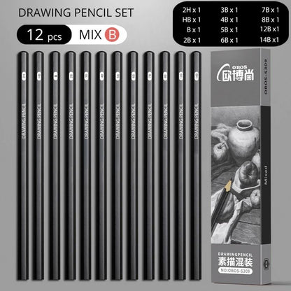 Professional Multi-Grade Graphite & Charcoal Sketching Pencil Set