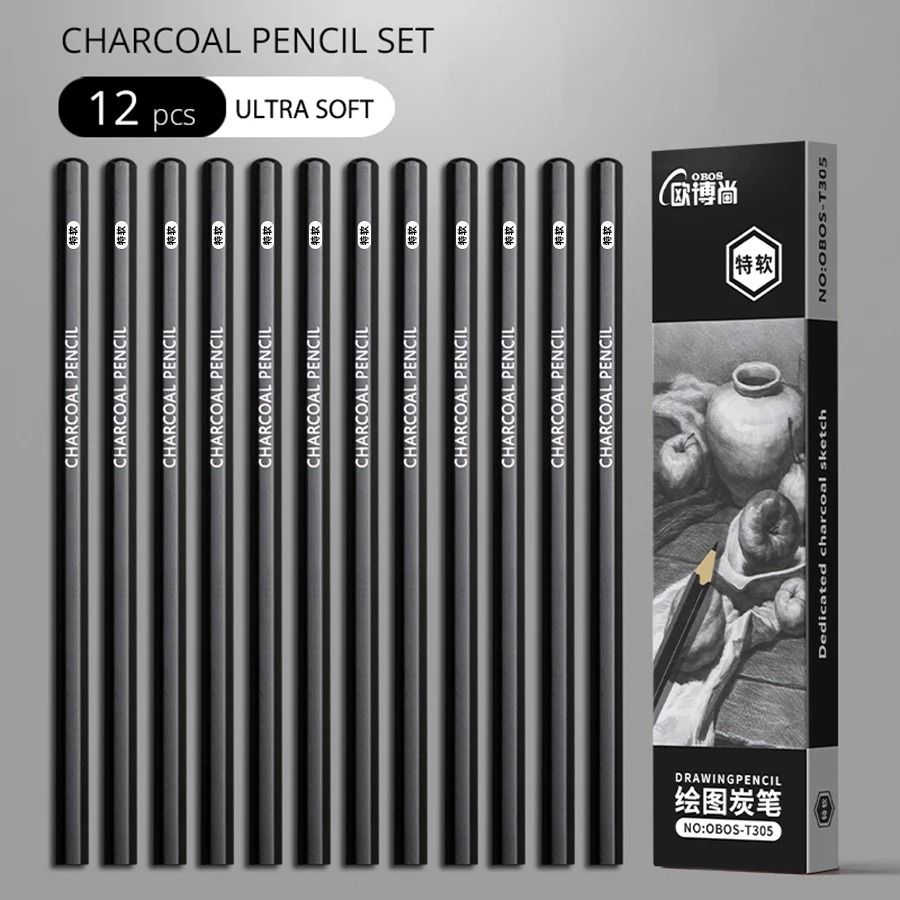 Professional Multi-Grade Graphite & Charcoal Sketching Pencil Set