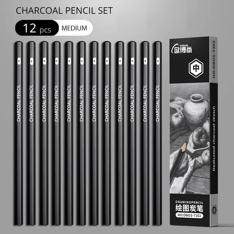 Professional Multi-Grade Graphite & Charcoal Sketching Pencil Set