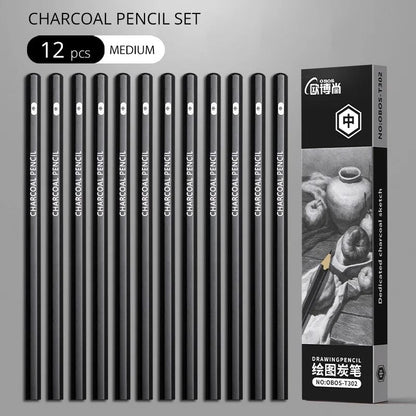 Professional Multi-Grade Graphite & Charcoal Sketching Pencil Set
