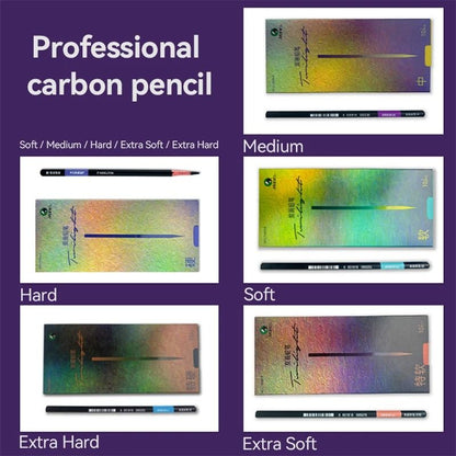 Professional 10-Piece Charcoal & Graphite Sketching Set - Premium Artist Grade