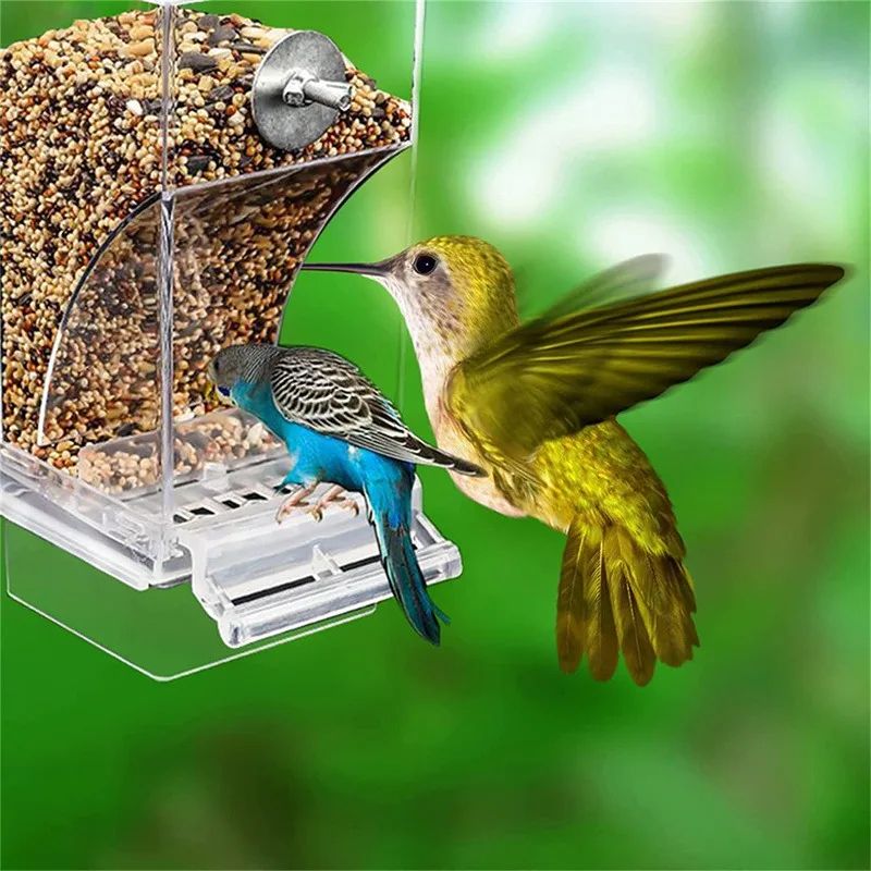 CleanSeed Acrylic No Mess Bird Feeder for Parakeets and Small Birds