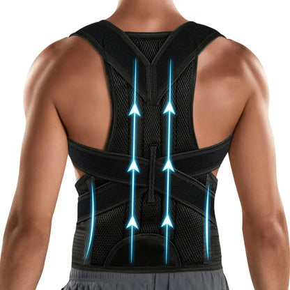 NEENCA Aero-Align Lumbar Support System – Premium Posture Corrector & Back Straightener