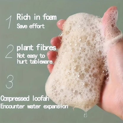 10 Piece Natural Fibrous Dermal Exfoliation Shield
