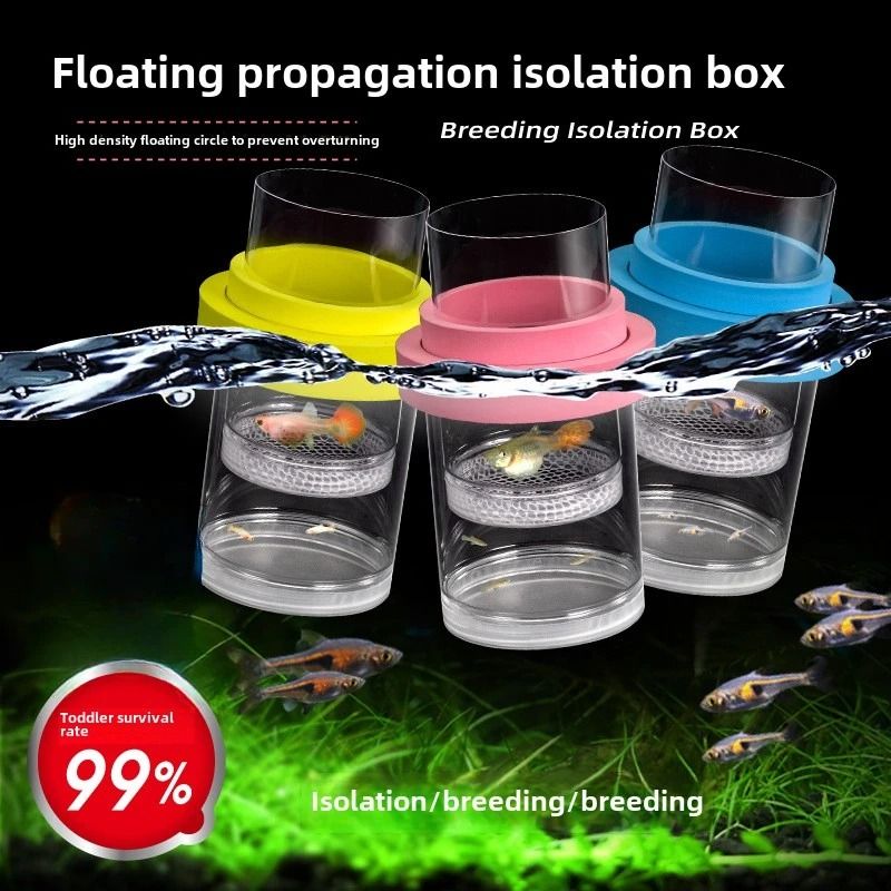 Dual-Chamber Aquarium Breeding Box and Fry Isolation Hatchery