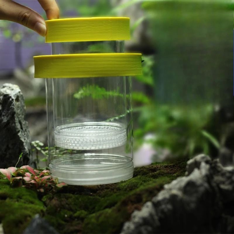 Dual-Chamber Aquarium Breeding Box and Fry Isolation Hatchery