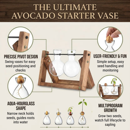Transparent Glass Avocado Seed Starter Vase, Plant Growing Kit for Gardening Enthusiasts
