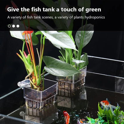 High Clarity Aquatic Plant Suspension Basket