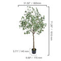 6ft type3