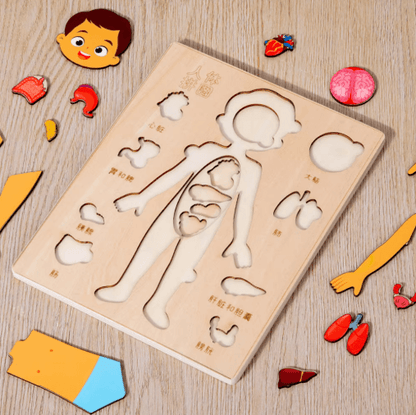 Montessori Human Body Busy Board for Toddlers Body Parts Learning Toy