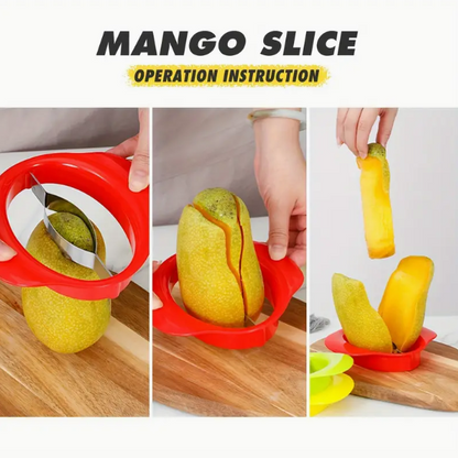 Stainless Steel Mango Slicer and Corer with Easy Grip Handles