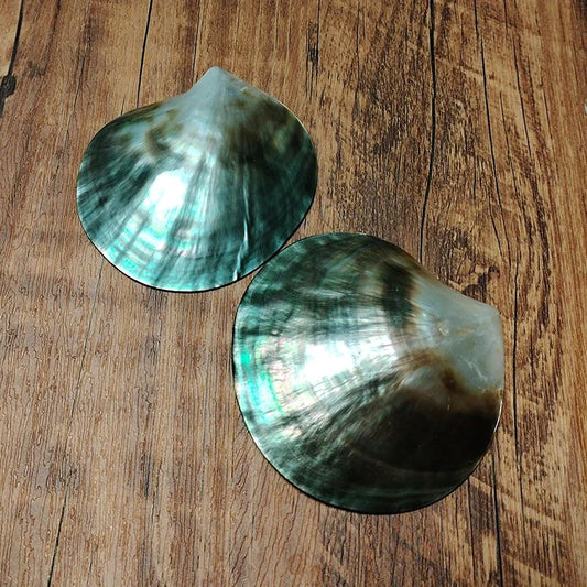 Black Mother of Pearl Shell Beads – Polished Pinctada Margaritifera for DIY Jewelry & Elegant Storage