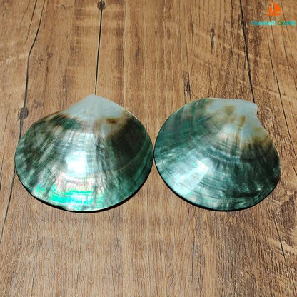 Black Mother of Pearl Shell Beads – Polished Pinctada Margaritifera for DIY Jewelry & Elegant Storage