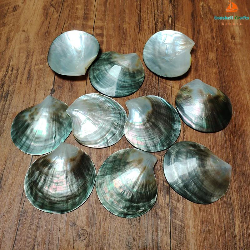 Black Mother of Pearl Shell Beads – Polished Pinctada Margaritifera for DIY Jewelry & Elegant Storage