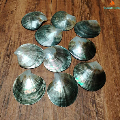 Black Mother of Pearl Shell Beads – Polished Pinctada Margaritifera for DIY Jewelry & Elegant Storage