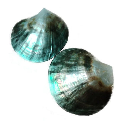 Black Mother of Pearl Shell Beads – Polished Pinctada Margaritifera for DIY Jewelry & Elegant Storage