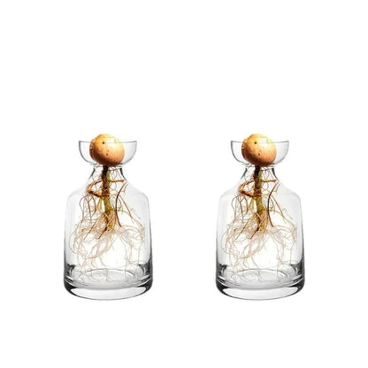 Avocado Seed Starter Set – High-Definition Glass Propagation Sculptures