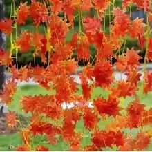 Artificial Red Maple Leaf Vine Garland for Fall Halloween and Thanksgiving Decor (7.55ft)