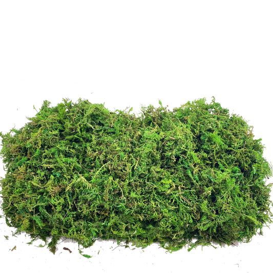 Realistic Artificial Moss for Potted Plants and Centerpiece Decor