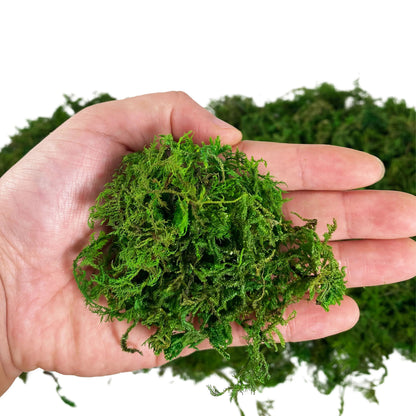 Realistic Artificial Moss for Potted Plants and Centerpiece Decor