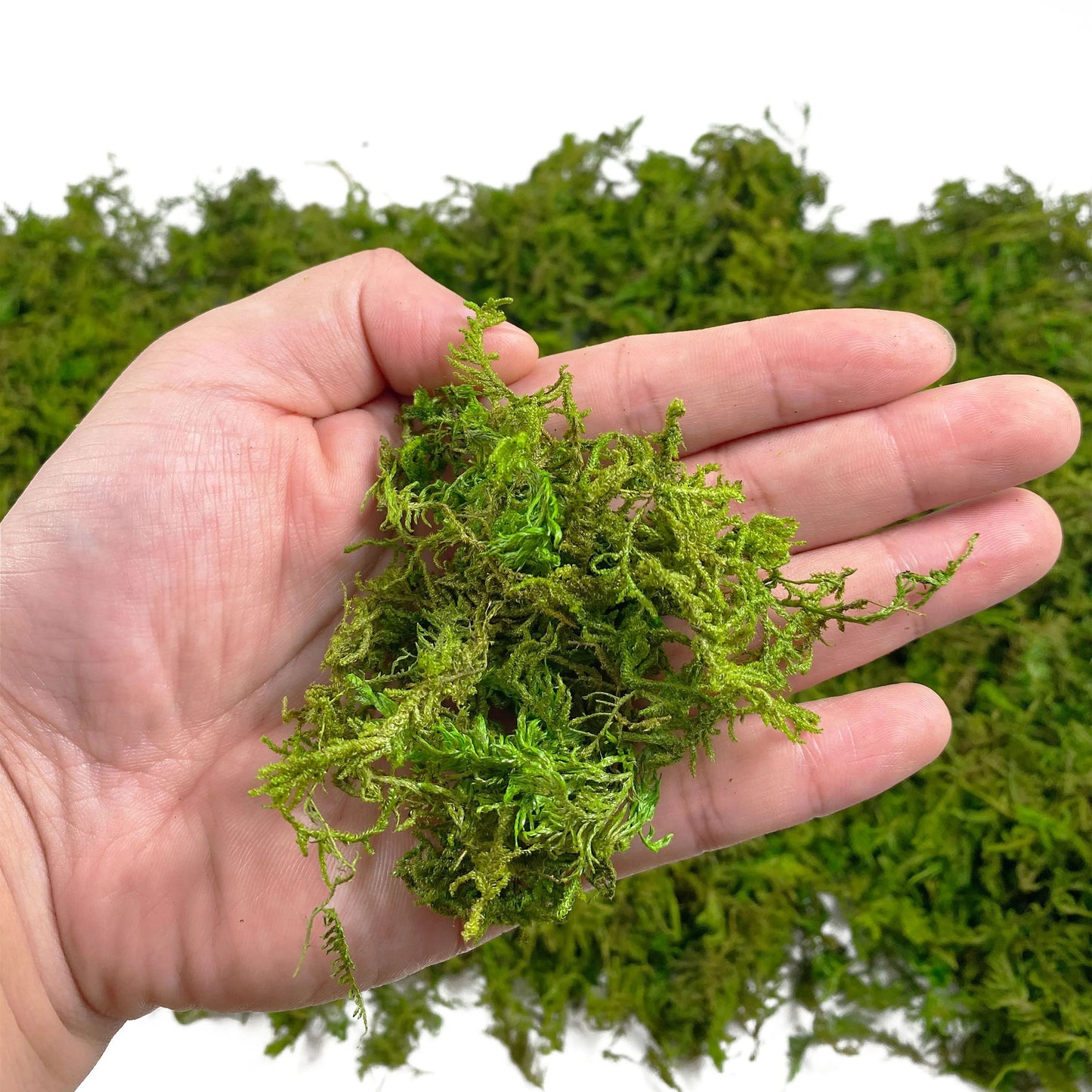 Realistic Artificial Moss for Potted Plants and Centerpiece Decor