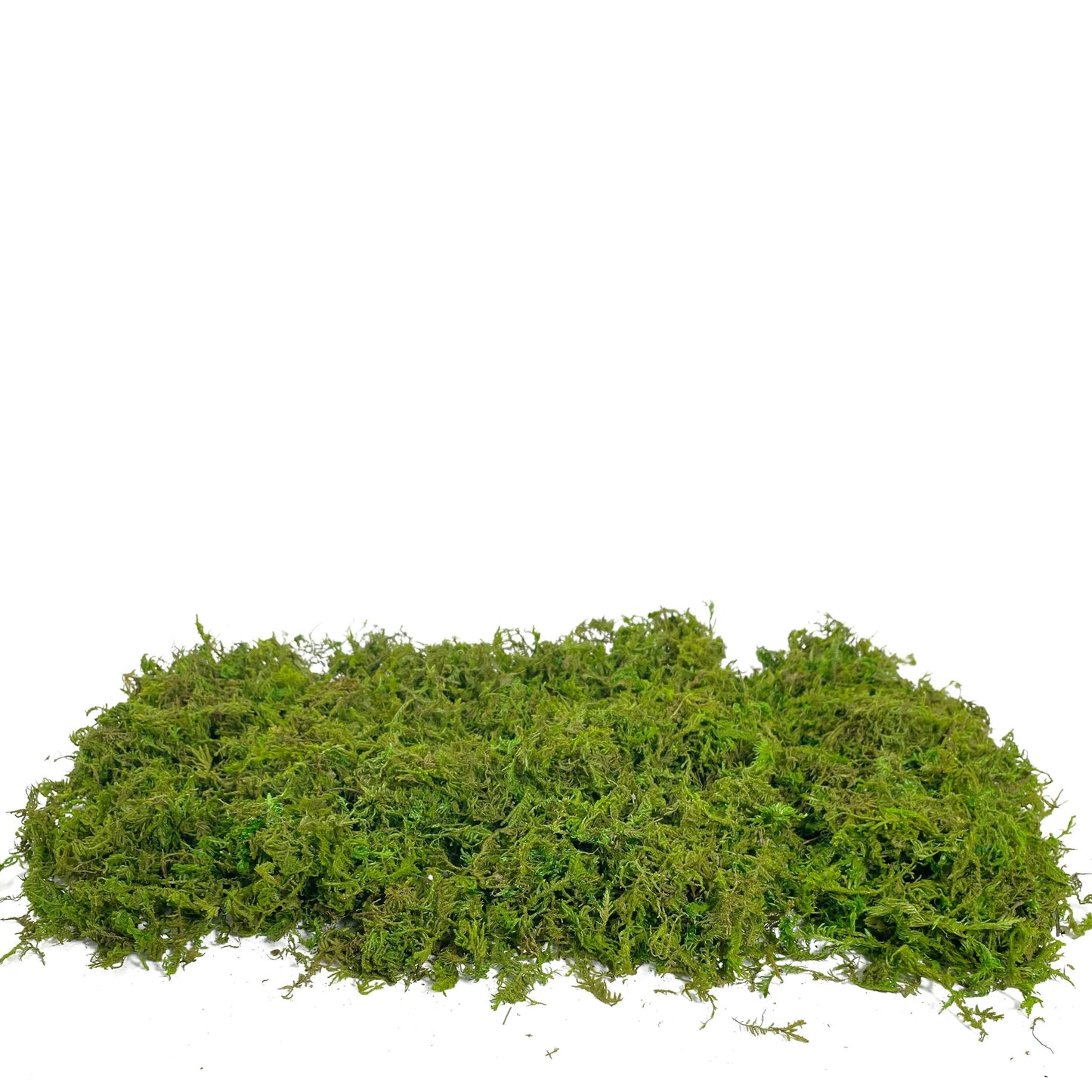 Realistic Artificial Moss for Potted Plants and Centerpiece Decor