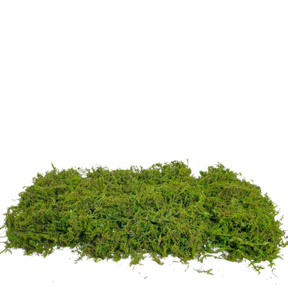 Realistic Artificial Moss for Potted Plants and Centerpiece Decor