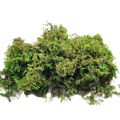 Realistic Artificial Moss for Potted Plants and Centerpiece Decor