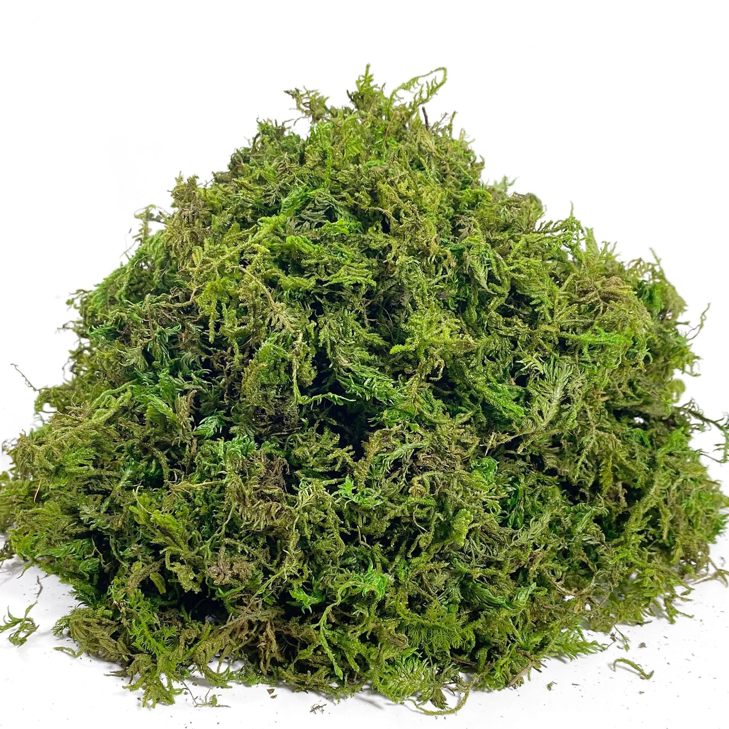Realistic Artificial Moss for Potted Plants and Centerpiece Decor