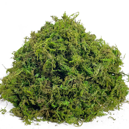 Realistic Artificial Moss for Potted Plants and Centerpiece Decor