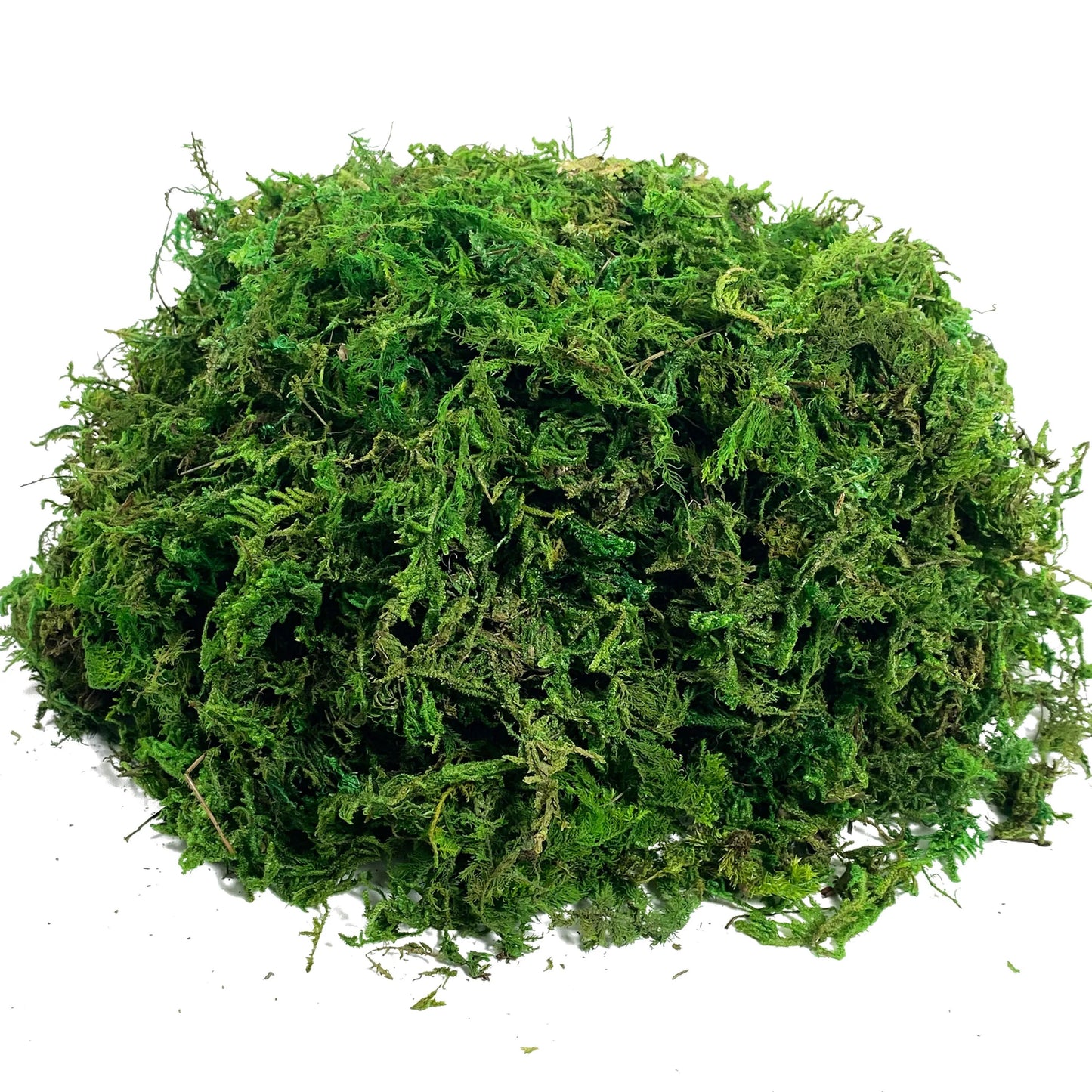 Realistic Artificial Moss for Potted Plants and Centerpiece Decor