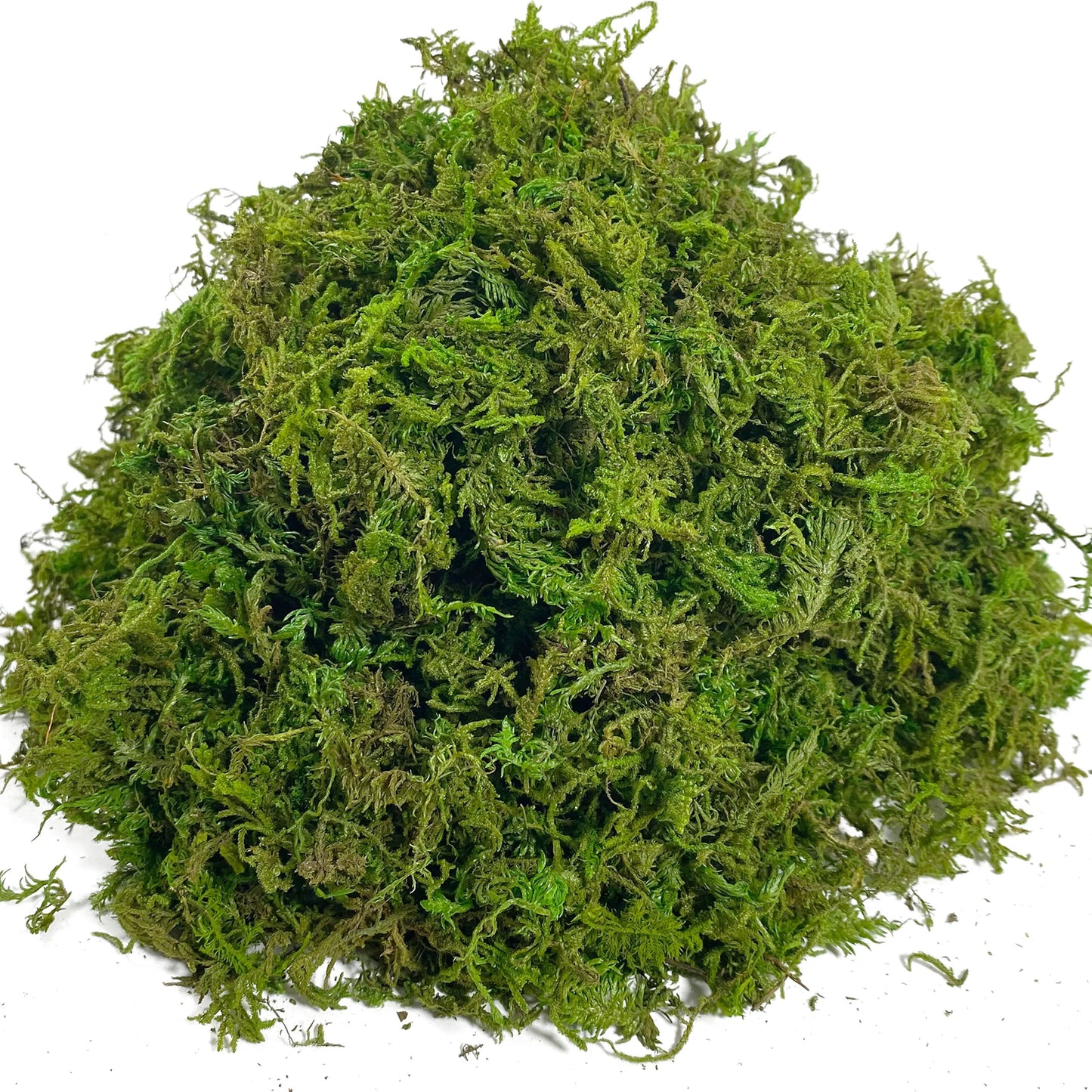 Realistic Artificial Moss for Potted Plants and Centerpiece Decor